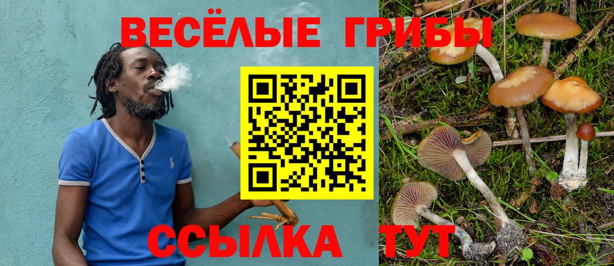 Котлас  Псилоцибиновые грибы ЛСД  Псилоцибиновые грибы мицелий  Вход с VPN 