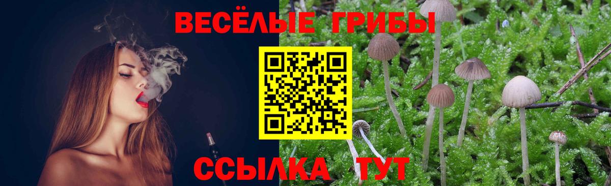 Псилоцибиновые грибы GOLDEN TEACHER Котлас