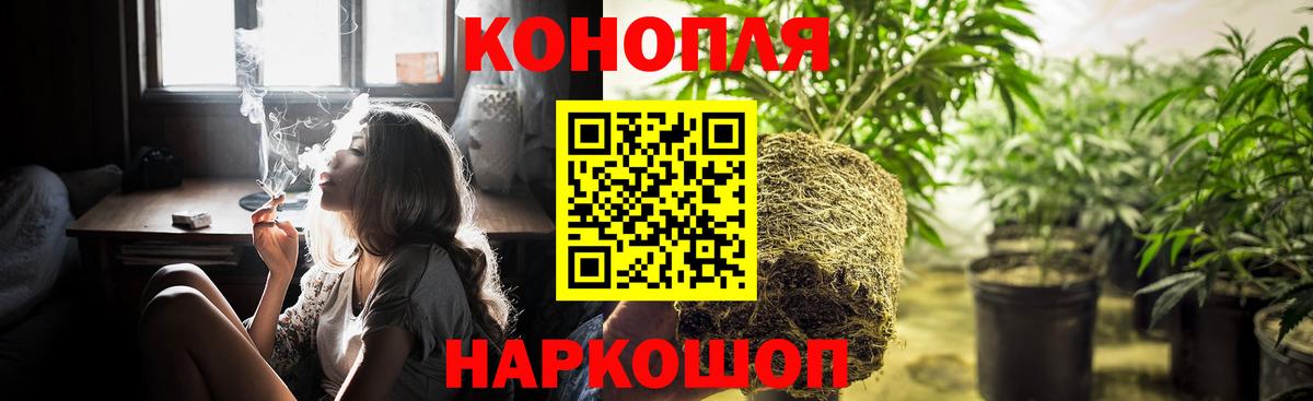 Канабис тримм  Вход с VPN  Конопля VHQ  Котлас  Бошки марихуана марихуана  Шишки марихуана сатива 